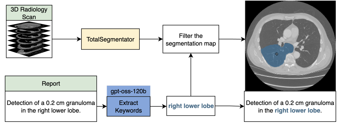Spatially Grounded VLMs for Radiology